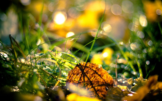 502644 (a): :2560x1600